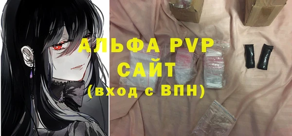 индика Баксан