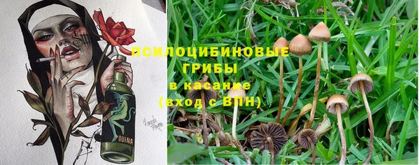 индика Баксан