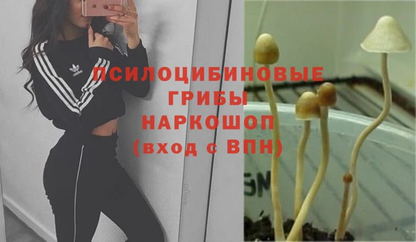 мдпв Балабаново