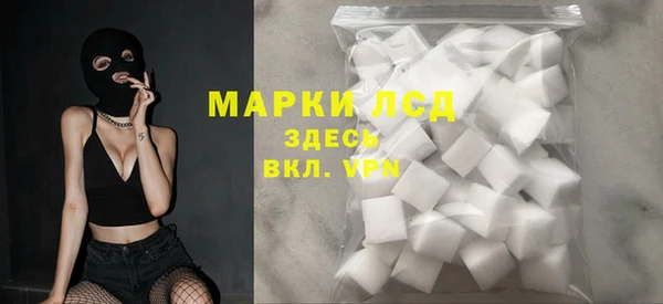 индика Баксан