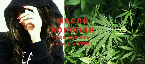 индика Баксан