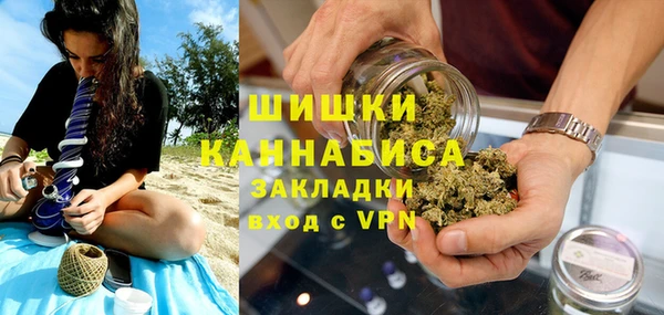 индика Баксан