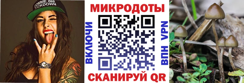 Псилоцибиновые грибы мухоморы  даркнет официальный сайт  Углич  hydra онион 